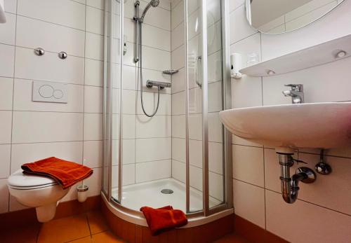 een badkamer met een douche, een wastafel en een toilet bij B&B Hotel Goldener Hahn - Guesthouse Hirsch Baiersbronn in Baiersbronn