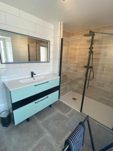 une salle de bain avec un lavabo et une douche avec un miroir dans l'établissement Rez de jardin 6 pers. Gérardmer, à Gérardmer