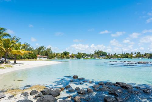 a beach with rocks in the water and palm trees at Quaint 4-bedroom Beach Villa in a fishing village in Grand Gaube