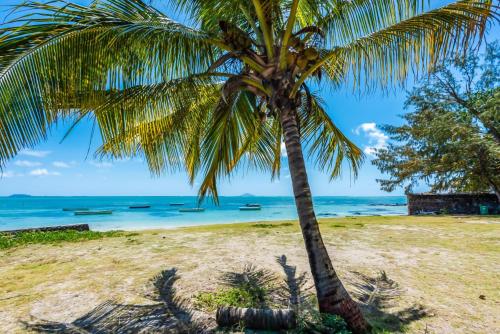 a palm tree on a beach with boats in the water at Quaint 4-bedroom Beach Villa in a fishing village in Grand Gaube