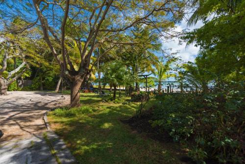 a park with a tree and the ocean in the background at Quaint 4-bedroom Beach Villa in a fishing village in Grand Gaube