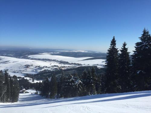 einen schneebedeckten Hang mit Bäumen auf einem Berg in der Unterkunft Chata Loučná pod Klínovcem in Loučná pod Klínovcem