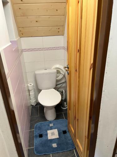 ein kleines Bad mit einem WC und einem blauen Teppich in der Unterkunft Chata Loučná pod Klínovcem in Loučná pod Klínovcem