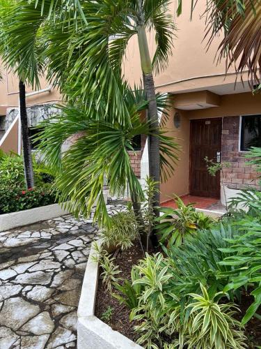 a palm tree in front of a house at Hotel Tropicana Santo Domingo in La Viva