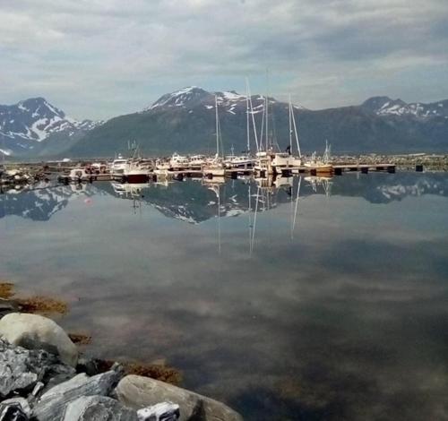 un puerto deportivo con barcos en el agua con montañas cubiertas de nieve en Det røde huset på Vågnes, en Krokelvdalen