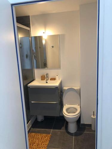 une salle de bain avec toilettes, lavabo et miroir dans l'établissement Studio Sablard, à Limoges