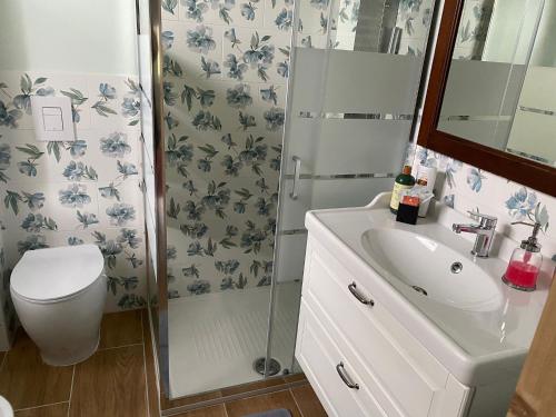 a bathroom with a shower and a toilet and a sink at CantoQuinto Bed and Breakfast in Fivizzano