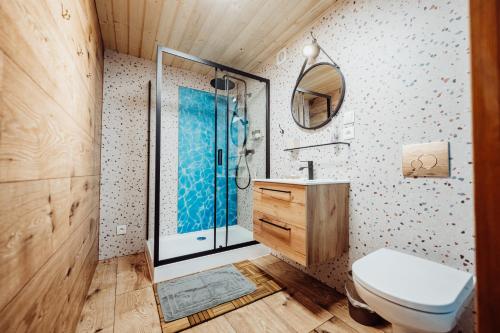 a bathroom with a shower and a toilet and a sink at Karkonoski Glamping in Łomnica