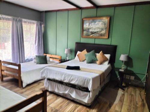 duas camas num quarto com paredes verdes em Silhouette Guest House em Welkom