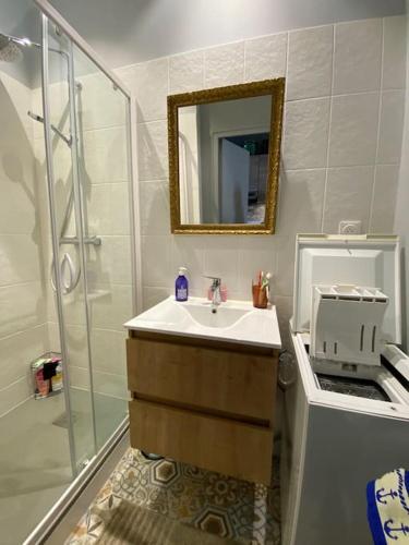 une salle de bain avec un lavabo et une douche avec un miroir dans l'établissement Appartement à 30m de la plage du Sillon., à Saint-Malo