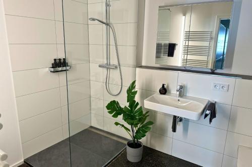 a bathroom with a shower and a sink and a plant at Isaak Apartment Stadtperle in Waldshut-Tiengen