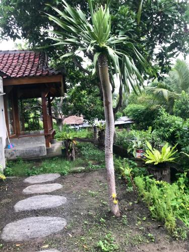 a palm tree in front of a building at Muni's Lombok Bungalow in Masbagik