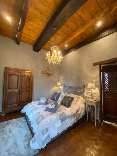a bedroom with a bed and a chandelier at Château de Morgenex in Vallières