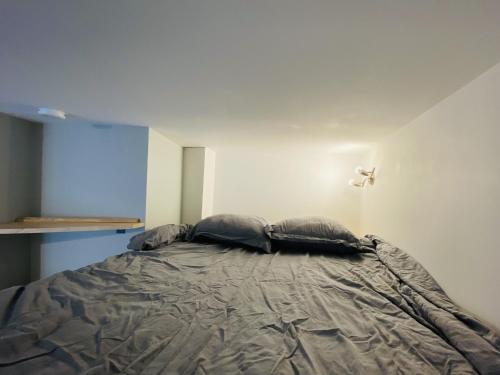een bed in een kamer met twee kussens erop bij Le Bilongue in Rodez