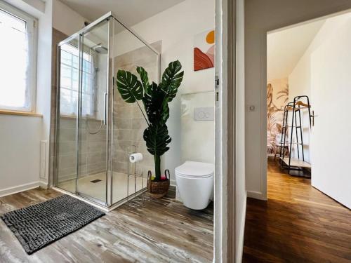 a bathroom with a shower and a toilet and a plant at Grand F2 proche du centre ville. in Châlons-en-Champagne