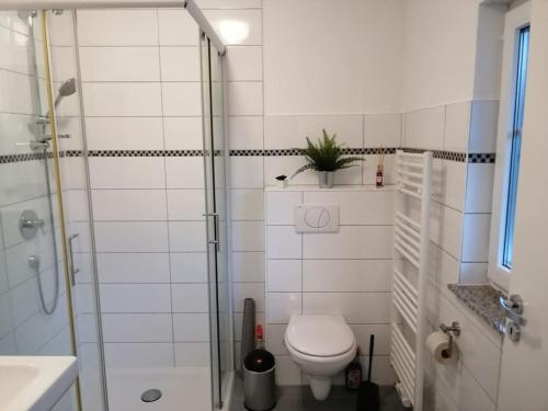 a bathroom with a toilet and a glass shower at Ferienwohnung Blumenparadies in Nettersheim