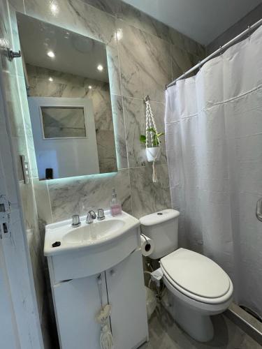 a bathroom with a toilet and a sink and a mirror at Patagonia House - Peña in Puerto Madryn