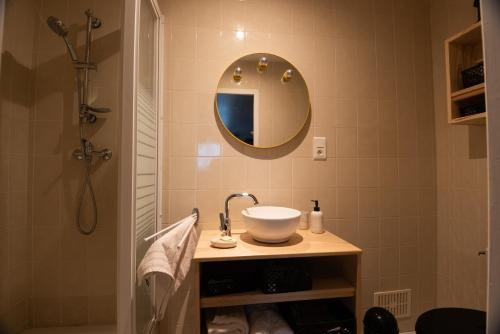 a bathroom with a sink and a shower at chambre indépendante dans le moulin in Pouilly-sur-Vingeanne
