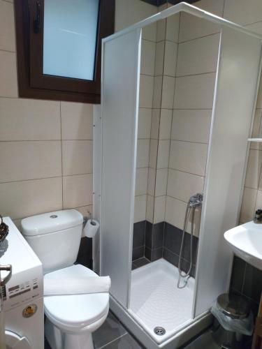 a small bathroom with a toilet and a shower at Aktaion Apartments in Samothráki