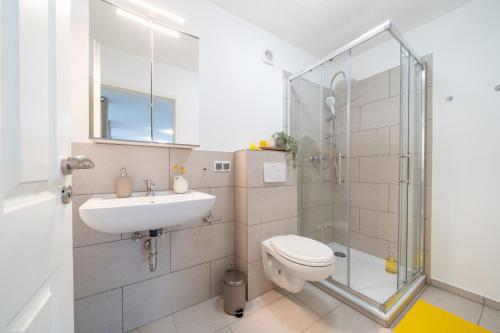 La salle de bains est pourvue de toilettes, d'un lavabo et d'une douche. dans l'établissement CNS24b19 Ein-Raum App BalkonGarten, à Cappel-Neufeld