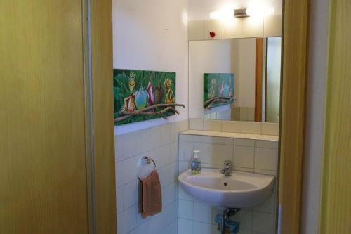 ein Bad mit einem Waschbecken und einem Spiegel in der Unterkunft Gartenhaus Klotzsche in Dresden