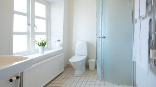ein Bad mit einem WC, einem Waschbecken und einem Fenster in der Unterkunft Anita på Gästis i Anderslöv in Anderslöv