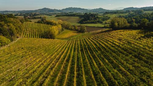 Agriturismo San Gregorio – Photos 3