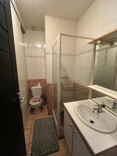 uma casa de banho com um chuveiro, um lavatório e um WC. em Grand STUDIO SUR COUR PRIVATIVE em Muret