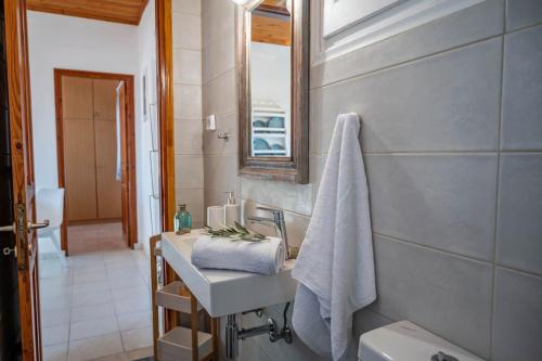 a bathroom with a sink and a mirror at Afrala Cottage in Khalikerí