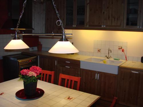 una cocina con dos luces y una mesa con flores en La Cense De Renière, en Ferrières