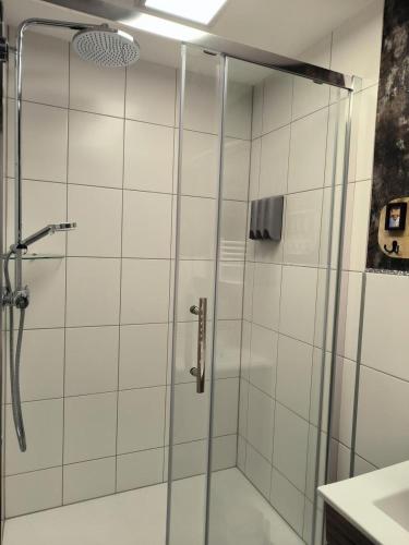 La salle de bains est pourvue d'une douche avec une porte en verre. dans l'établissement Harz-High-End-Ferienwohnung-Nicholas, à Hahnenklee