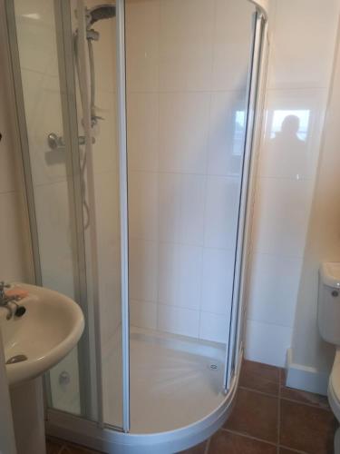 una ducha con una puerta de cristal junto a un lavabo en 360 Dun Aoibhinn, en Dungarvan