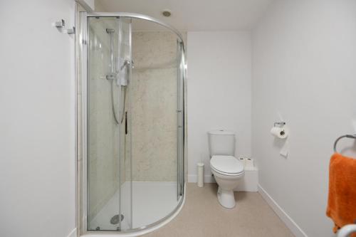 a bathroom with a shower and a toilet at Pottery Cottage, Lochans Lodge in Stranraer
