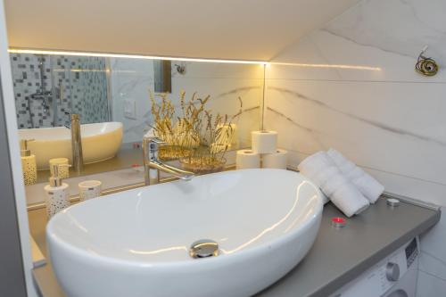 Un baño con un lavabo blanco y un espejo. en Villa Čelinka, en Svib