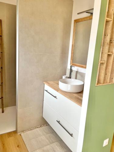 uma casa de banho com um lavatório e um espelho em CHAMBRE d'Hôtes avec PISCINE & KITCHENETTE em Saint-Geniès-des-Mourgues