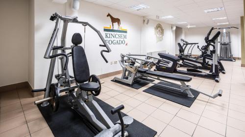 a gym with several tread machines in a room at Hotel Club Tisza in Lakitelek