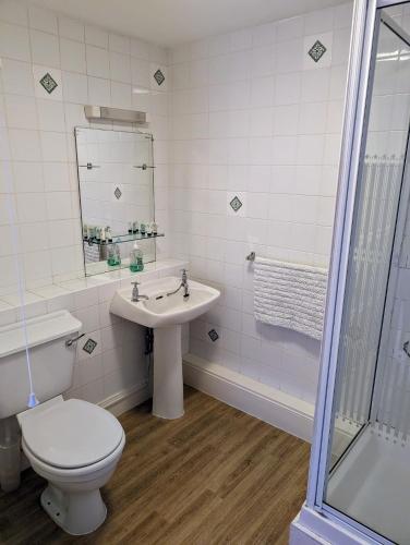 a bathroom with a toilet and a sink and a shower at Bartholomew Arms in Northampton