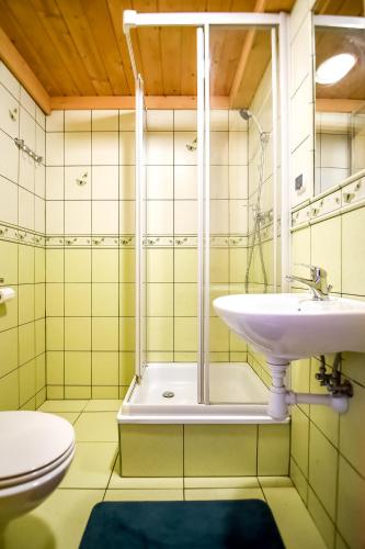 a bathroom with a sink and a shower at Willa Pod Orłem Jacuzzi Sauna in Kościelisko