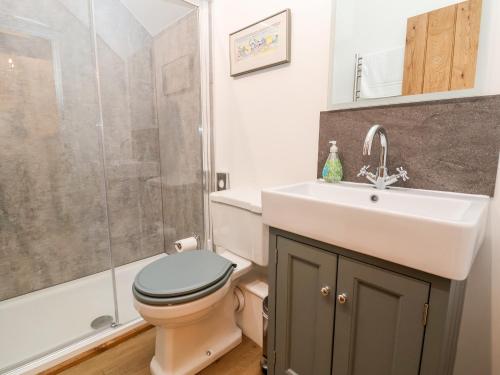 een badkamer met een toilet, een wastafel en een douche bij Rockhill Farm Wainhouse in Craven Arms