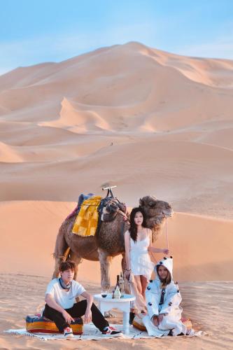 Επισκέπτες που μένουν στο Sahara Dream luxury Camp