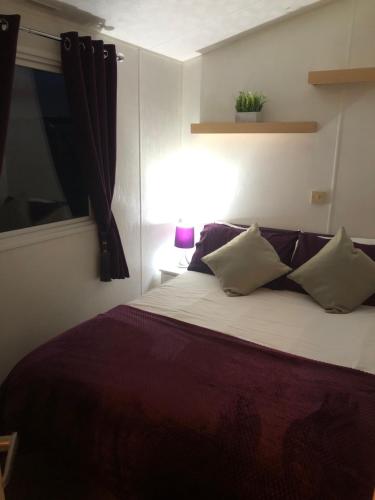 a bedroom with a large bed with a purple blanket at Jules Holiday Caravan in Hartley