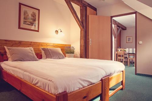 a bedroom with a large bed in a room at Hotel Górski Czarna Góra in Stronie Śląskie