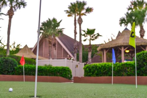 Hilton Vacation Club Polynesian Isles Kissimmee photo 28