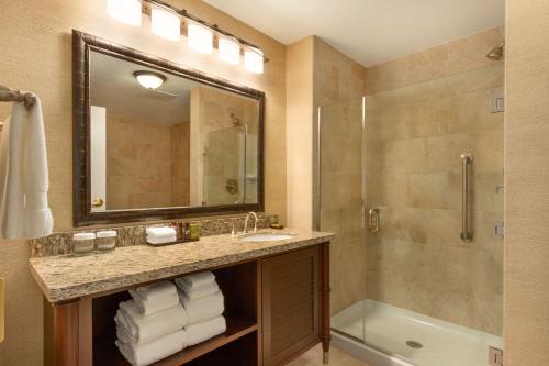 uma casa de banho com um lavatório e um chuveiro em Embassy Suites Savannah Historic District em Savannah