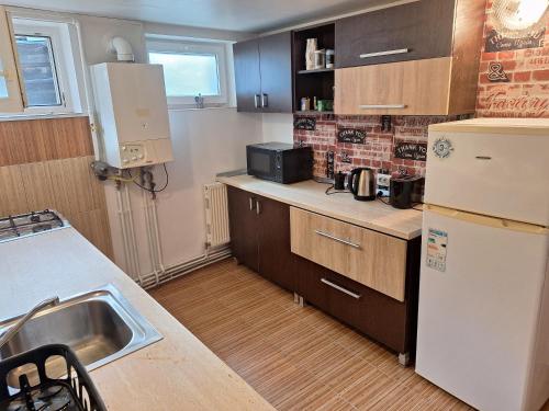 mała kuchnia z lodówką i zlewem w obiekcie Panoramic Apartment w mieście Târgu Mureş