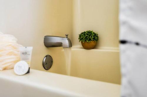 a bathroom sink with a mirror and a potted plant at Joy's Retreat Cabin in Sevierville
