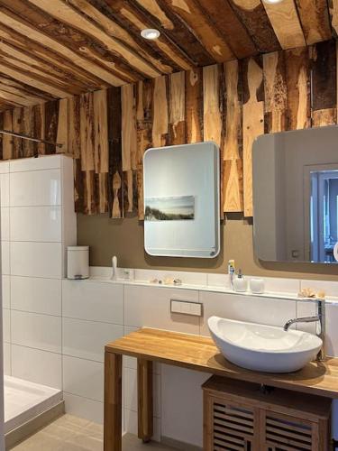 baño con lavabo y espejo en la pared en Typical home in the Black Forest, en Bad Wildbad