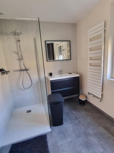 une salle de bain avec douche et lavabo dans l'établissement Gîte Sarazac, à Mayac