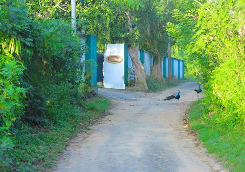 a bird walking down a dirt road with trees at Birdsong Leisure Resort in Tissamaharama