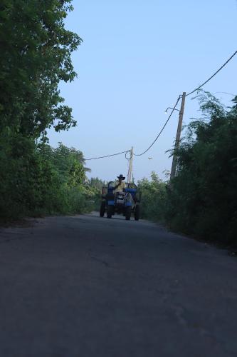 a man driving a tractor on a road at Birdsong Leisure Resort in Tissamaharama